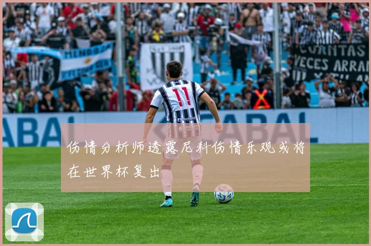 伤情分析师透露尼科伤情乐观或将在世界杯复出